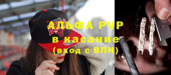 ALPHA PVP Инта