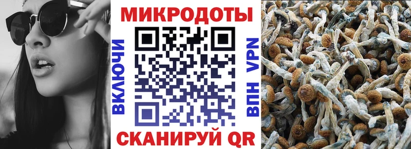 продажа наркотиков  Чернушка  дарк нет официальный сайт  Галлюциногенные грибы GOLDEN TEACHER 
