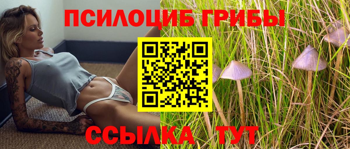 Чернушка  Псилоцибиновые грибы Psilocybine cubensis  Вход с VPN  Галлюциногенные грибы Cubensis 